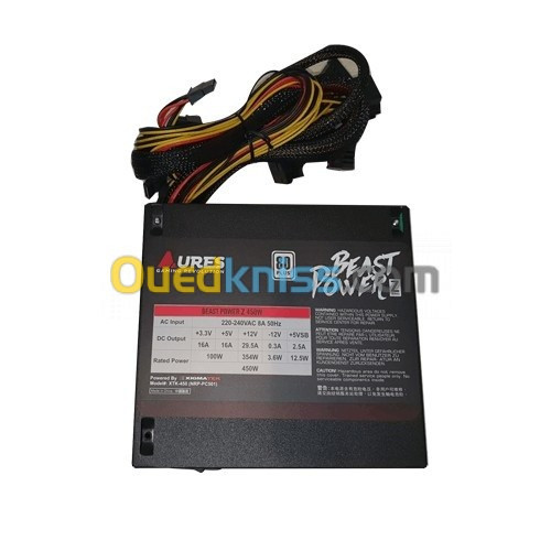 Alimentation Aures BEAST POWER 450W 80 Plus