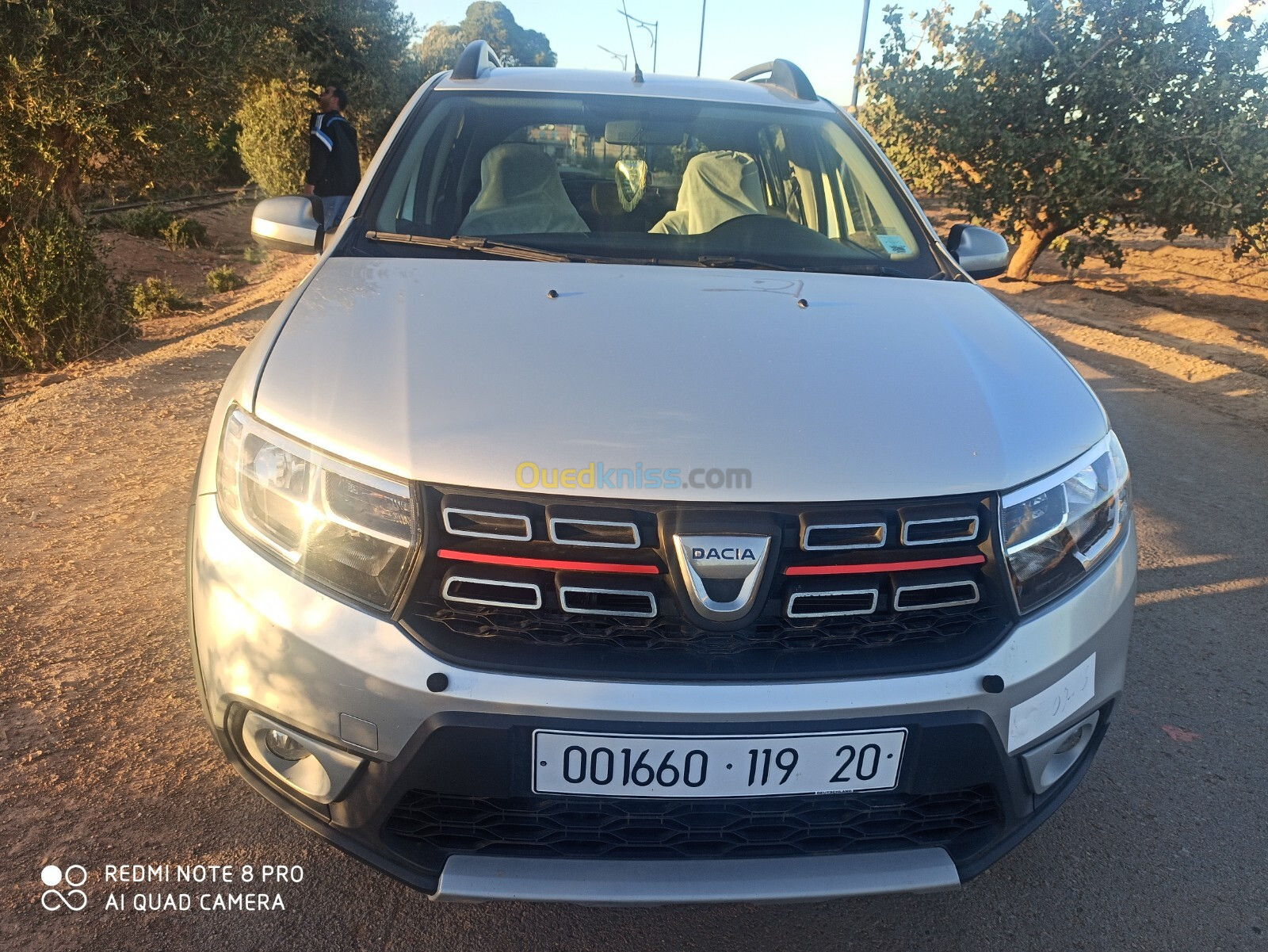 Dacia Sandero 2019 Stepway