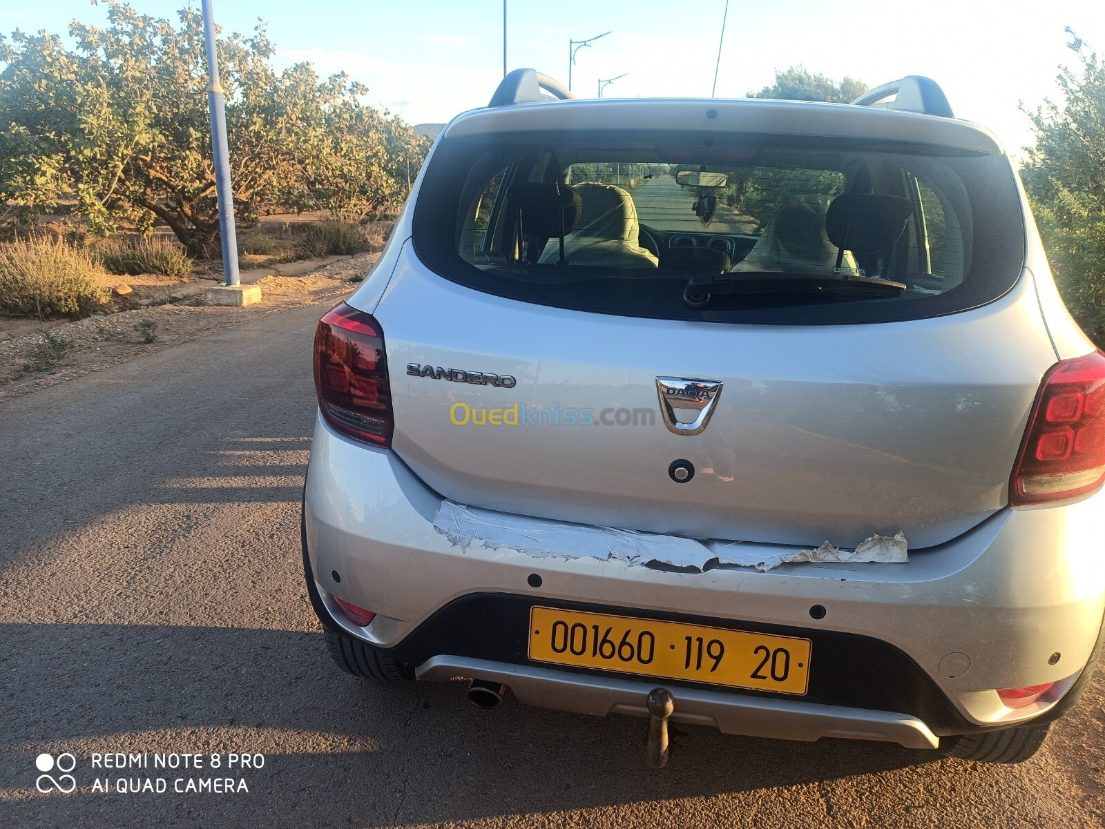 Dacia Sandero 2019 Stepway