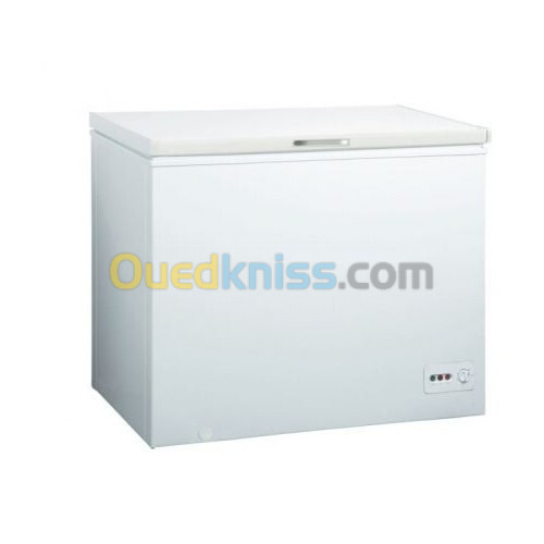 CONGÉLATEUR MIDEA HS-252C 260 LITRES