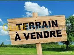 Vente Terrain Médéa Ksar boukhari