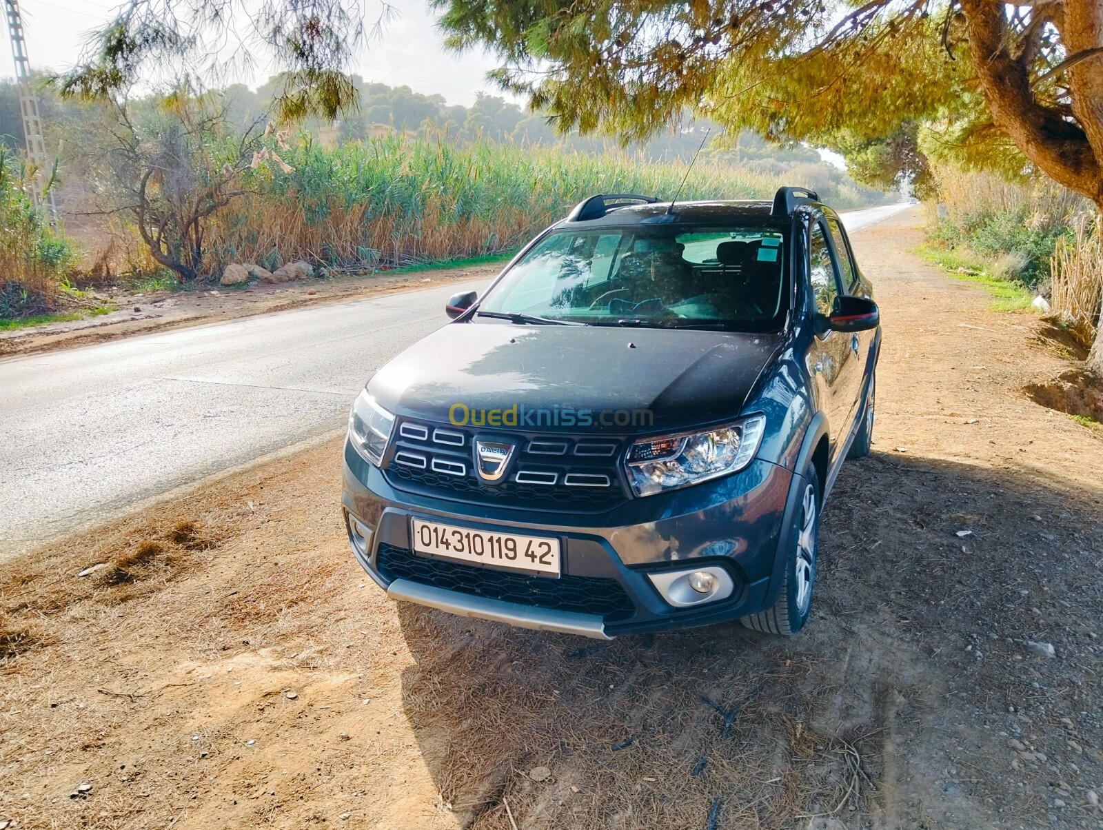 Dacia Sandero 2019 Stepway PRIVILEGE