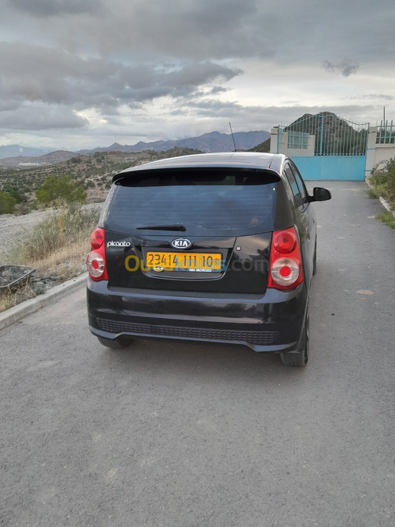 Kia Picanto 2011 Fany