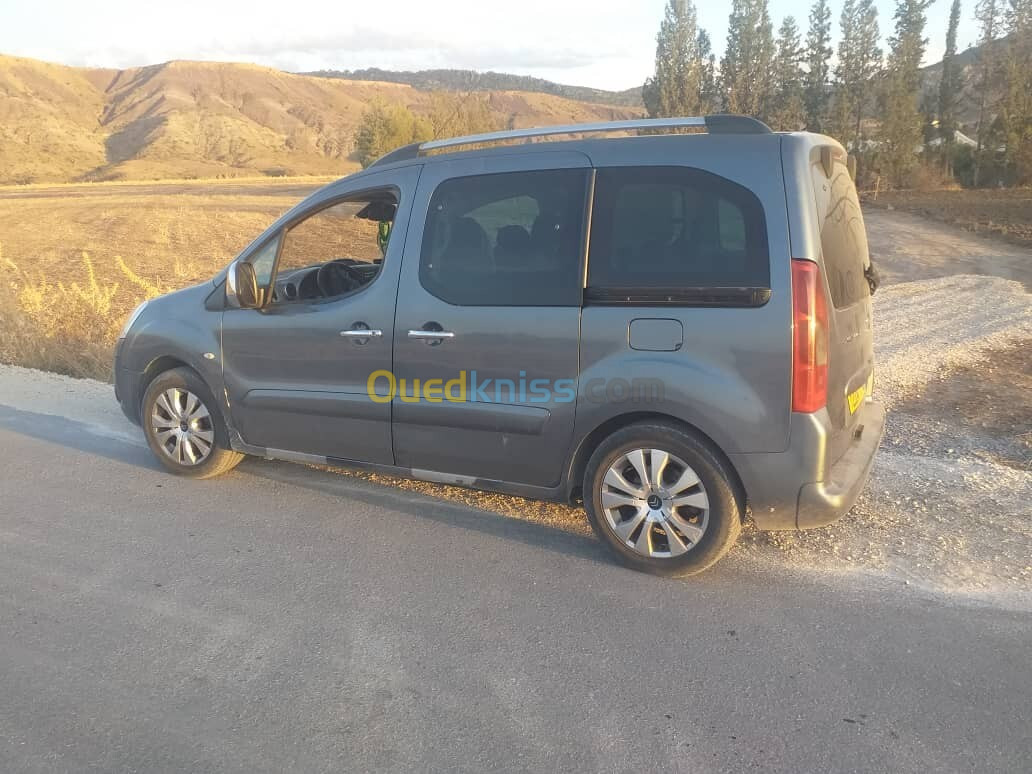 Citroen Berlingo 2011 Berlingo