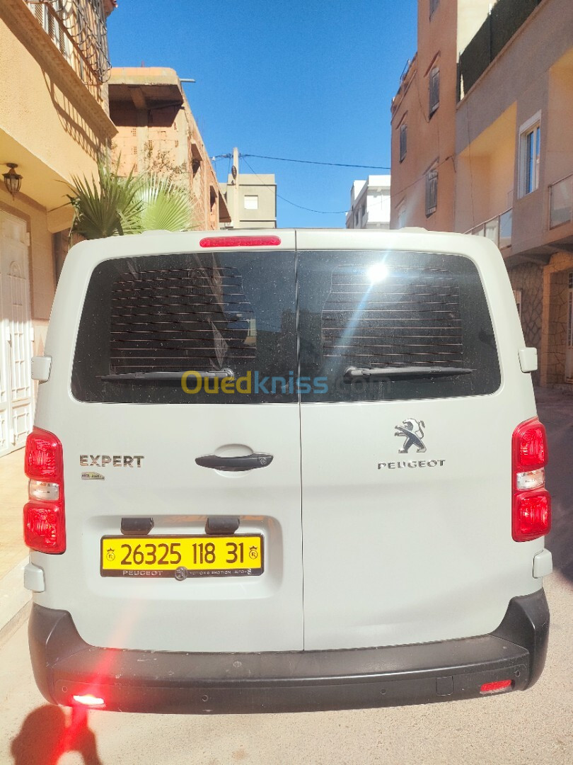 Peugeot Expert 2018 V.U Long