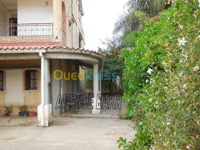 Vente Villa Alger Cheraga