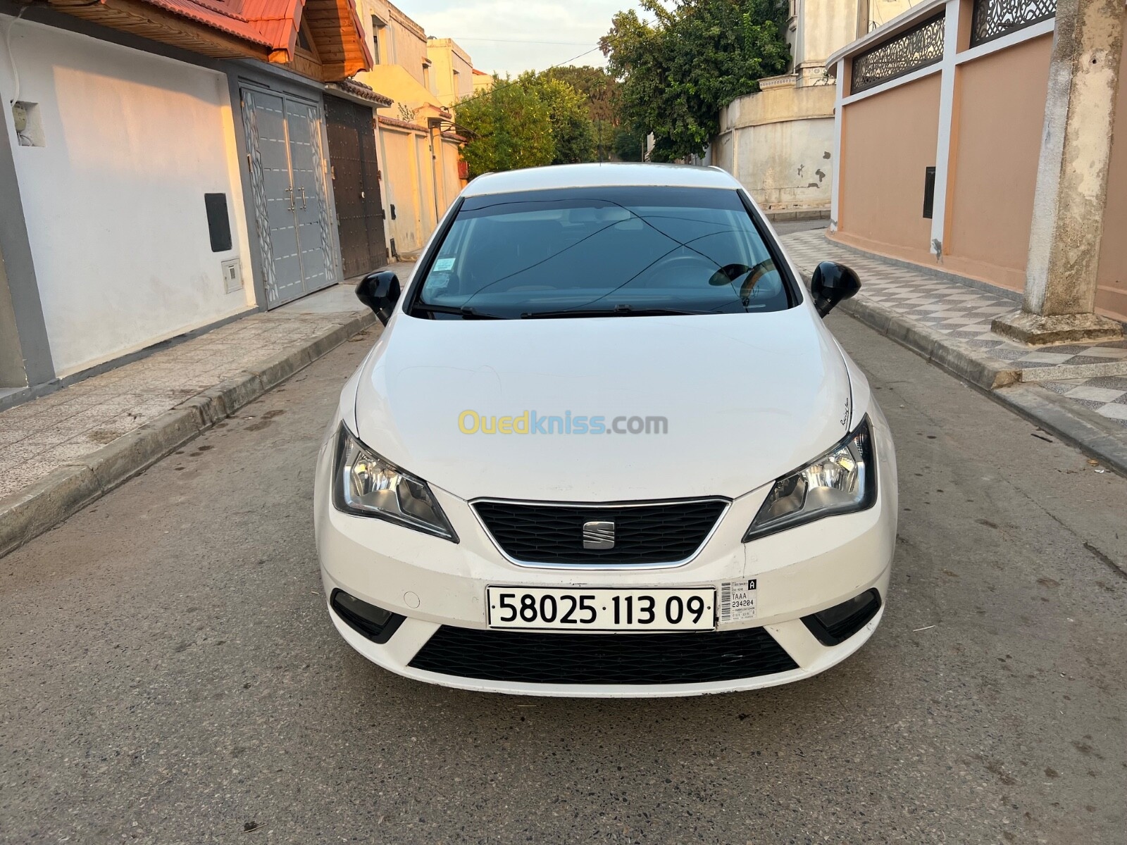 Seat Ibiza 2013 Fully