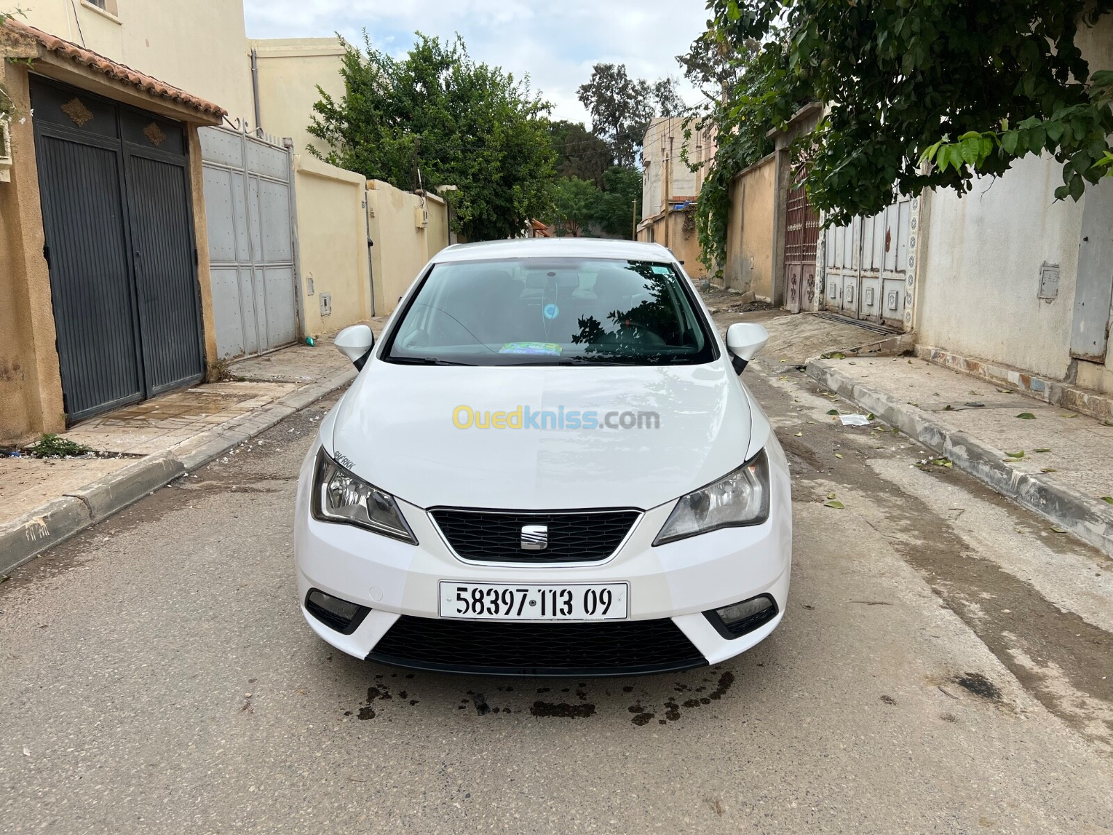 Seat Ibiza 2013 Fully