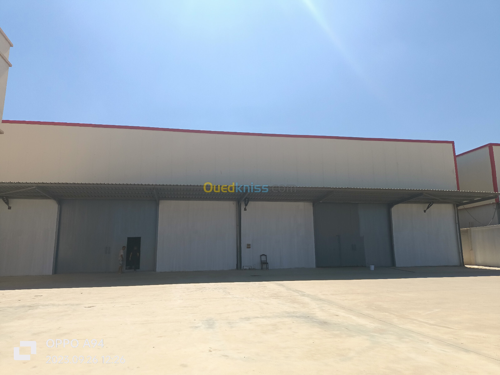 Location Hangar Alger Les eucalyptus