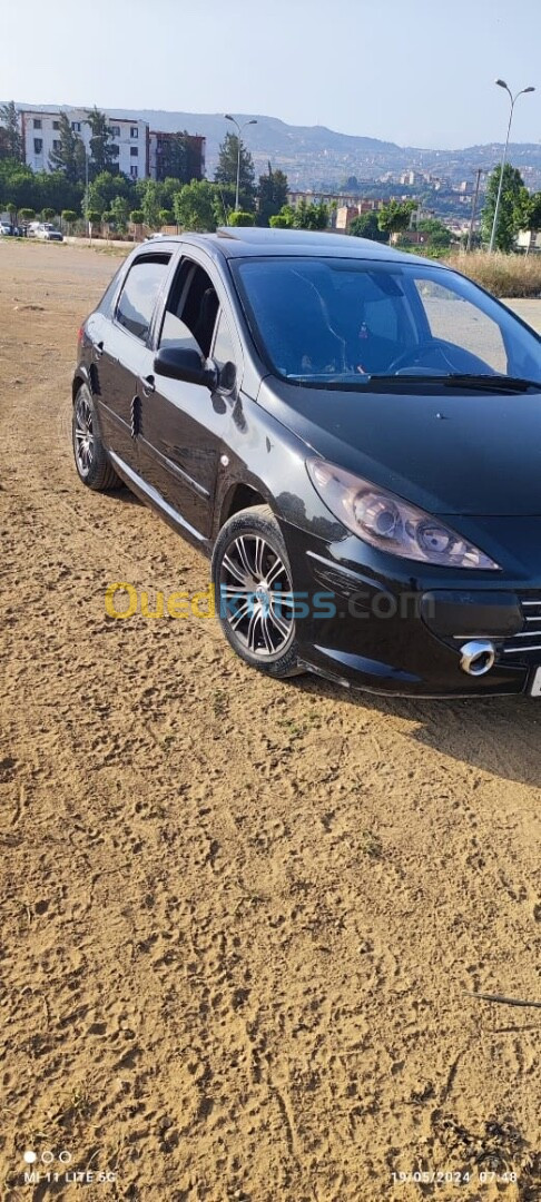 Peugeot 307 2007 307