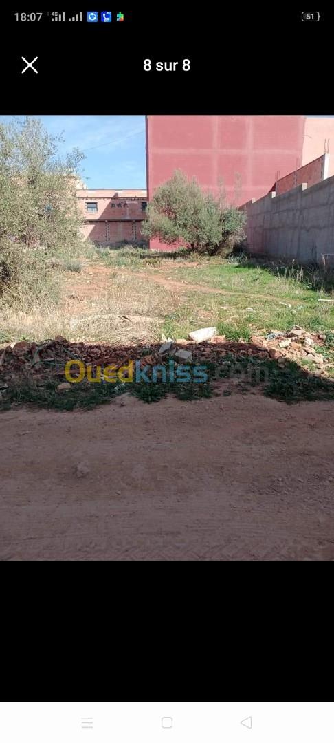 Vente Terrain Tlemcen Tlemcen