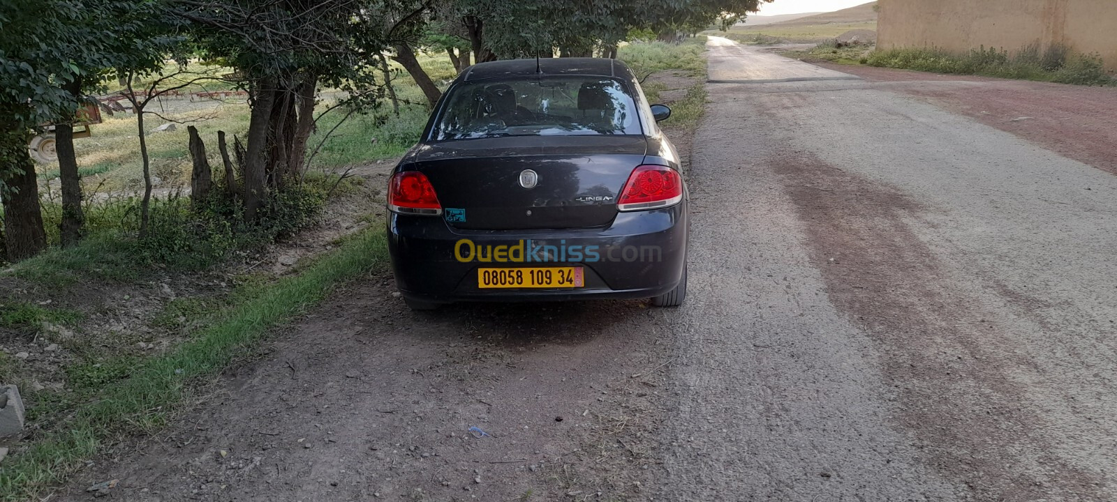 Fiat Palio 2009 Fire