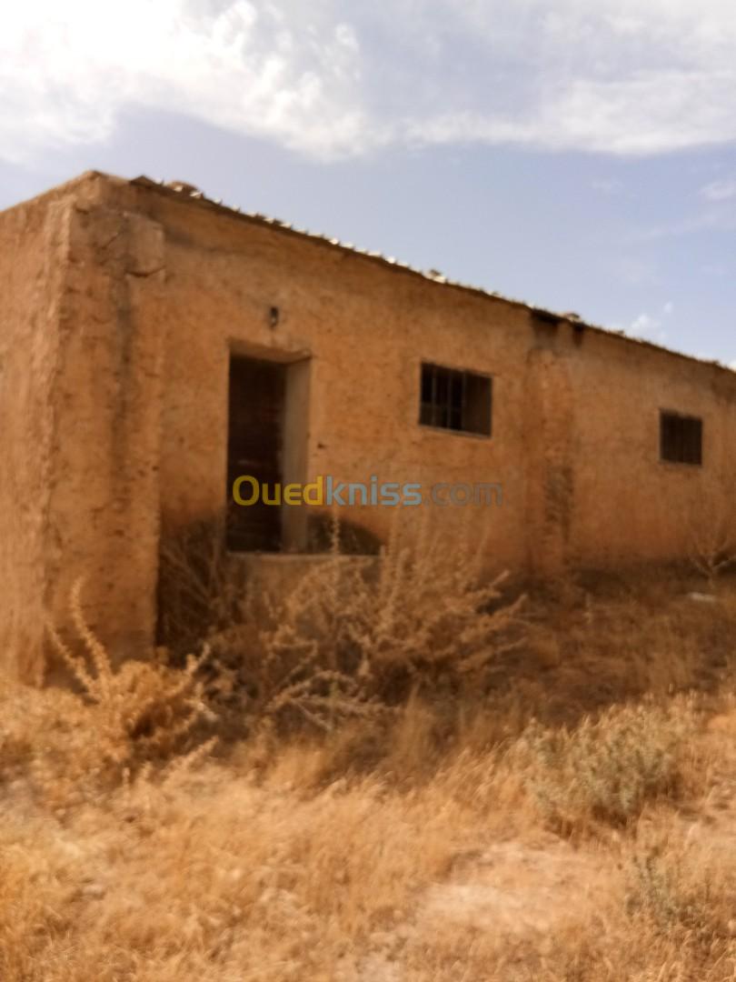 Vente Terrain Agricole Tiaret Dahmouni