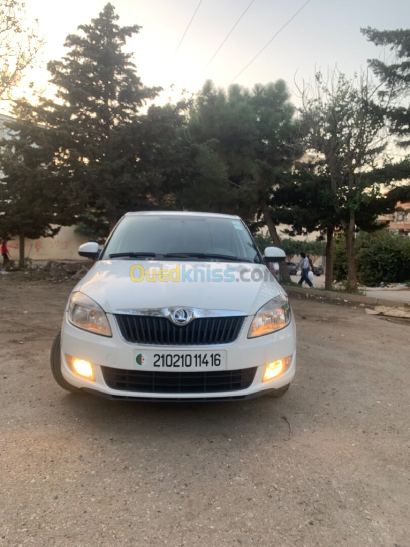 Skoda Fabia 2014 Fresh