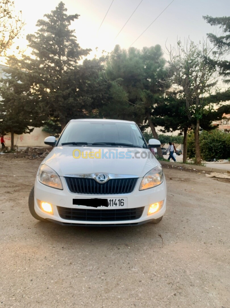 Skoda Fabia 2014 Fresh