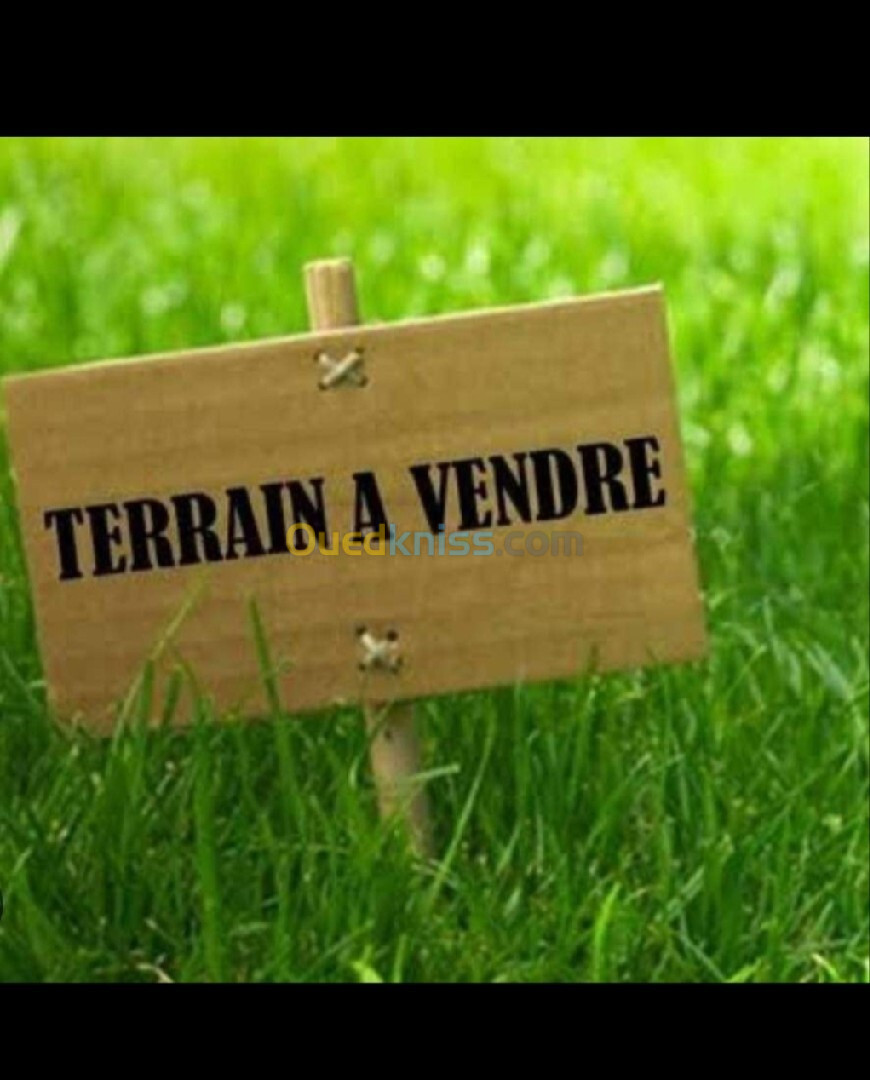 Vente Terrain Alger Birkhadem