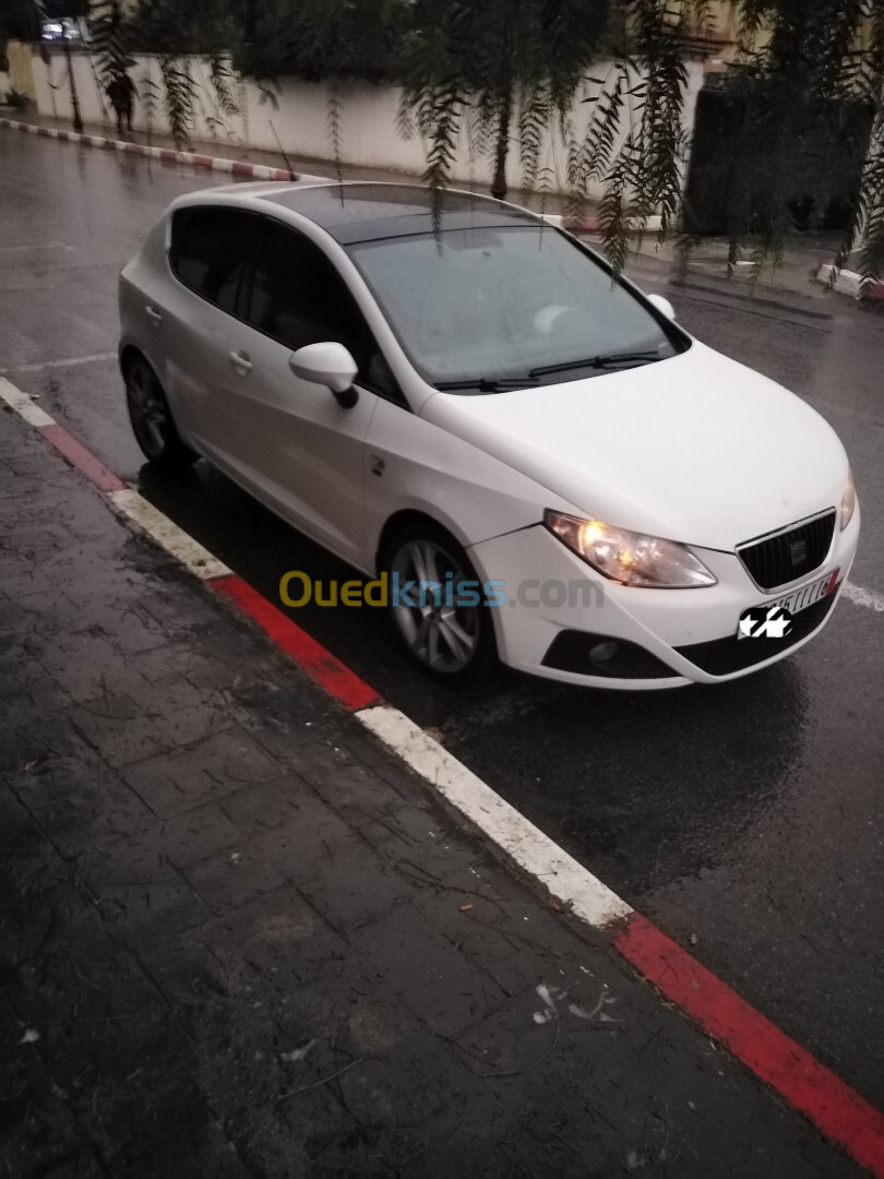 Seat Ibiza 2011 Ibiza