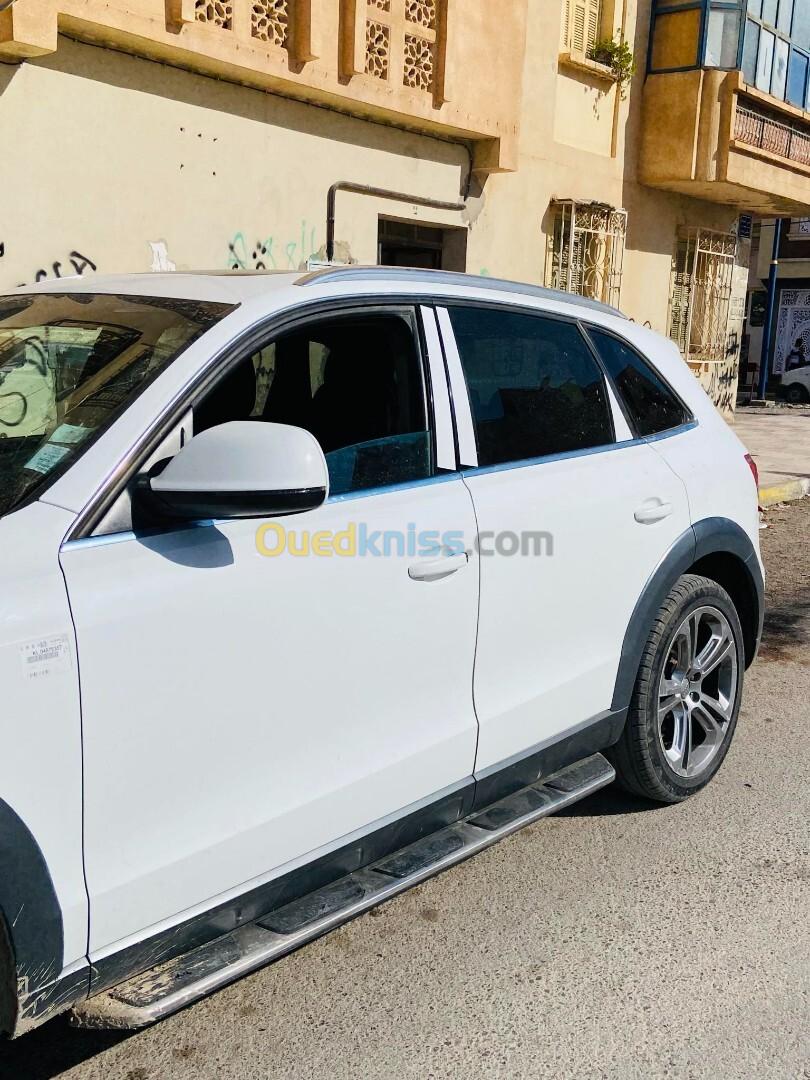 Audi Q5 2011 Off Road