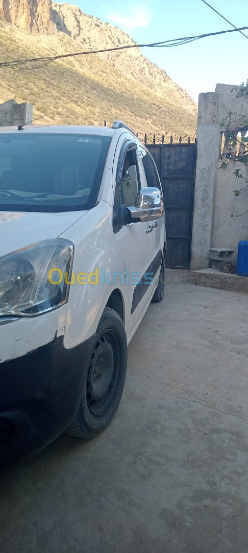 Citroen Berlingo 2013 