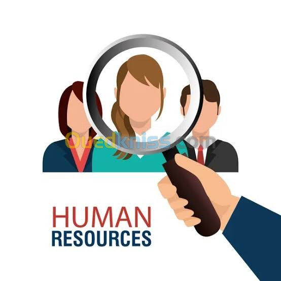 Responsable des ressources humaines 