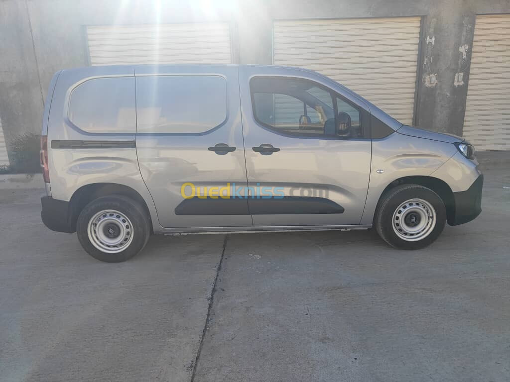 Fiat Professional Doblo 2024 Doblo