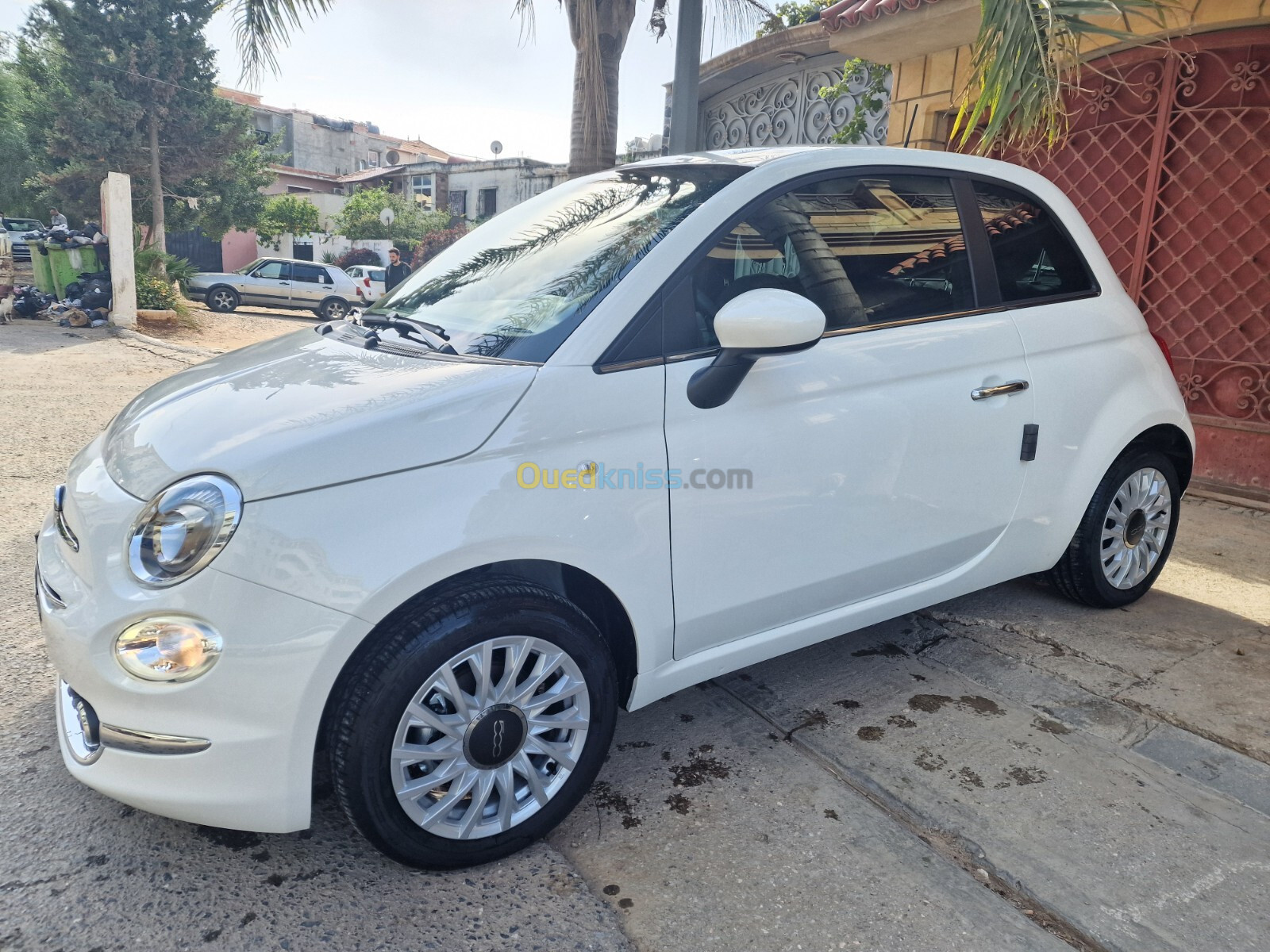 Fiat 500 2024 Club dz