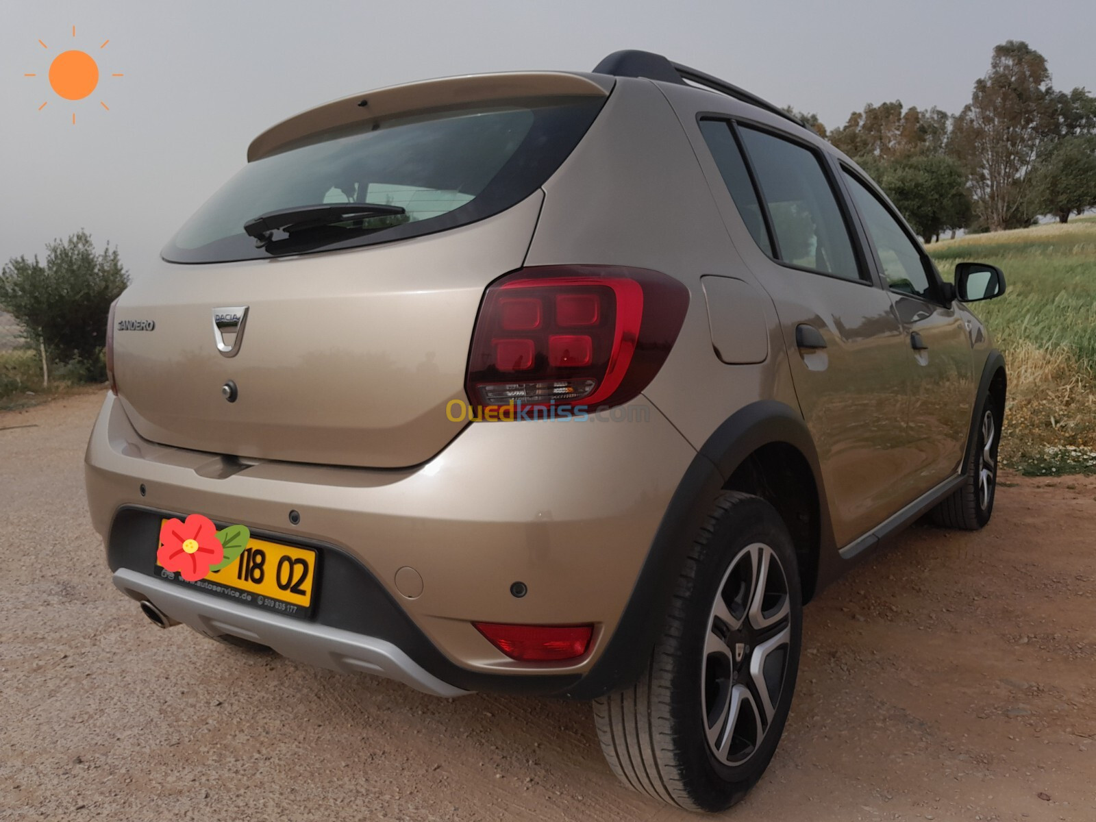 Dacia Sandero 2018 Stepway