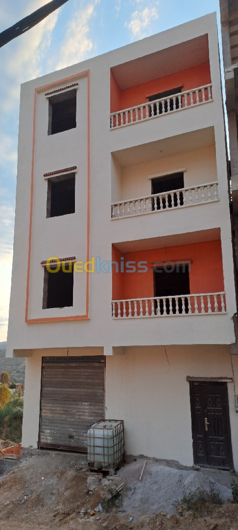 Vente Immeuble Skikda El Hadaiek