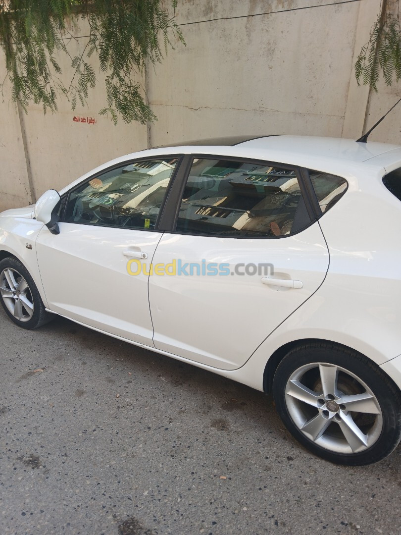 Seat Ibiza 2011 