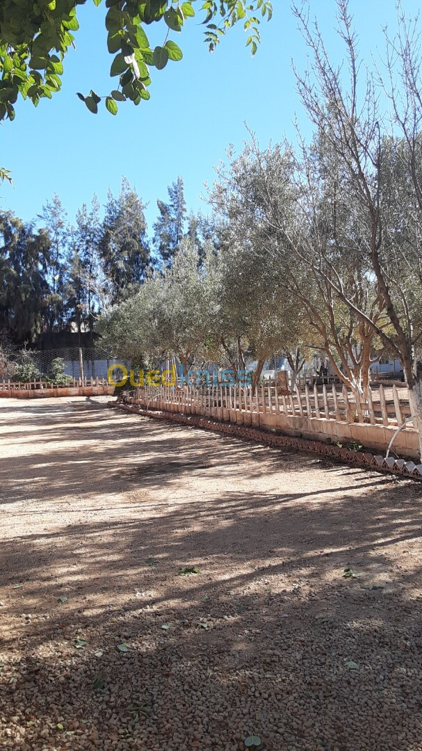 Vente Villa Tlemcen Maghnia