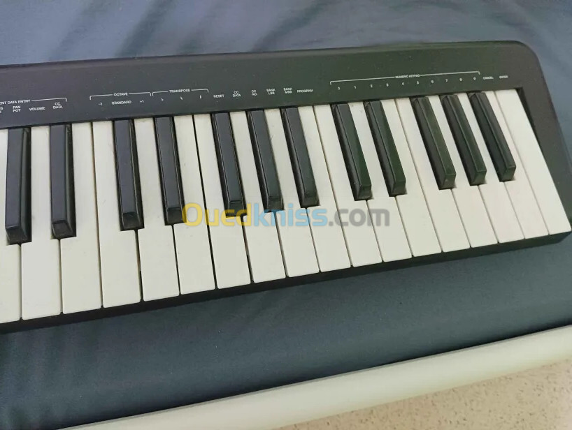 Clavier Midi Alesis Q49 + cable midi