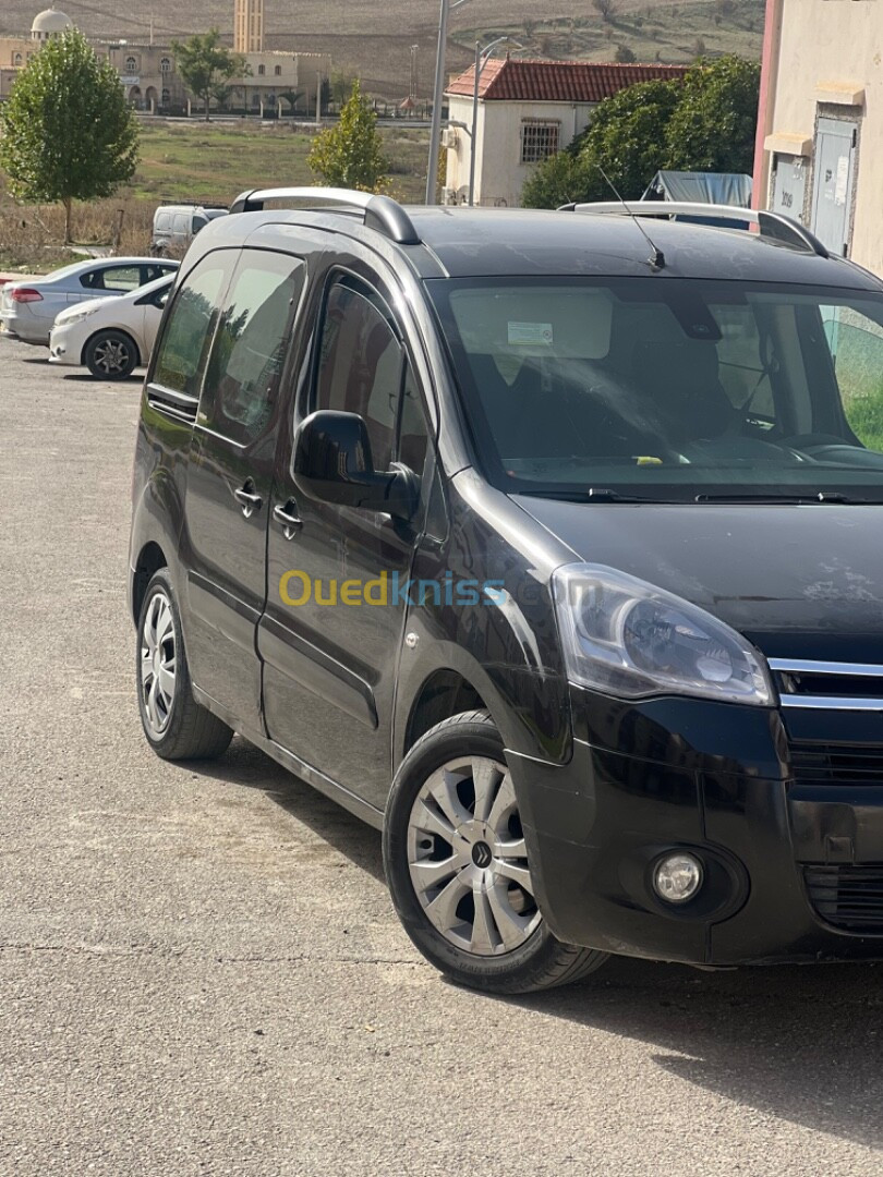 Citroen Berlingo 2008 Berlingo