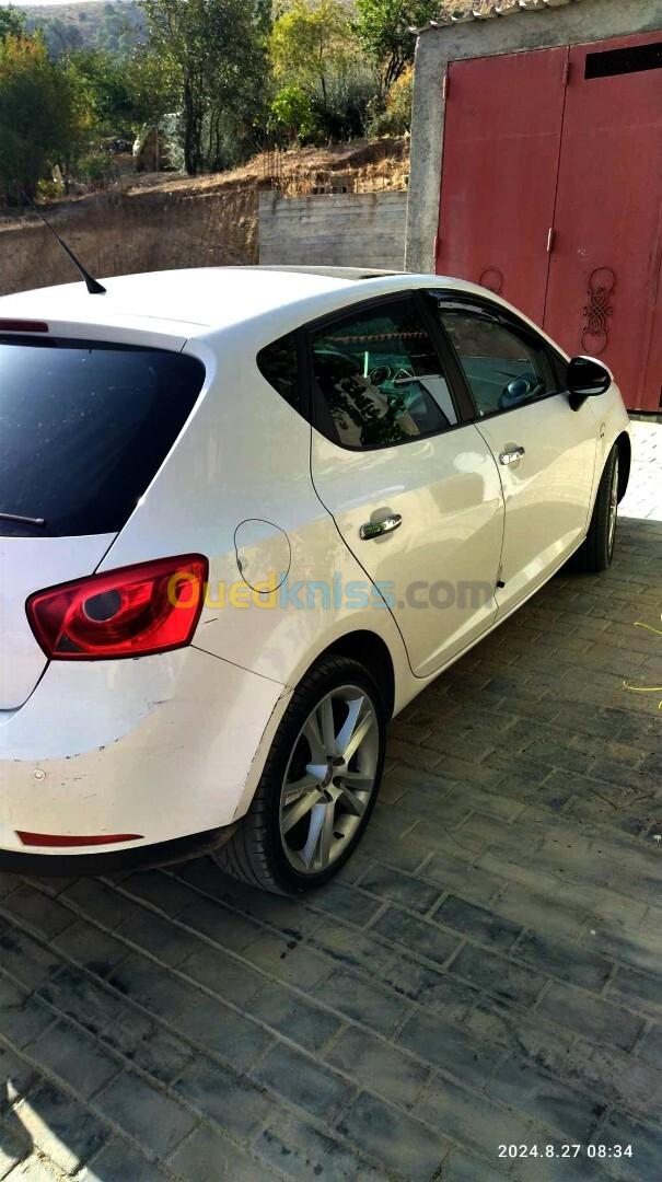 Seat Ibiza 2011 Loca