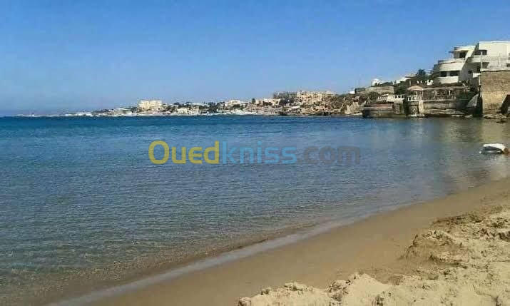 Vente Appartement F3 Alger Bab ezzouar