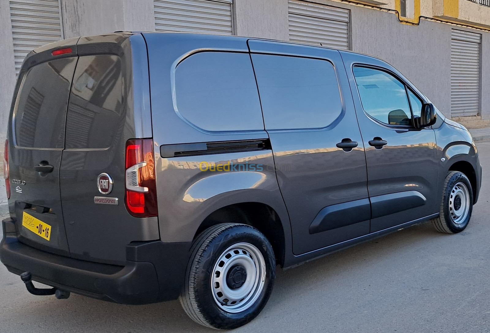 Fiat Professional Doblo 2024 Doblo