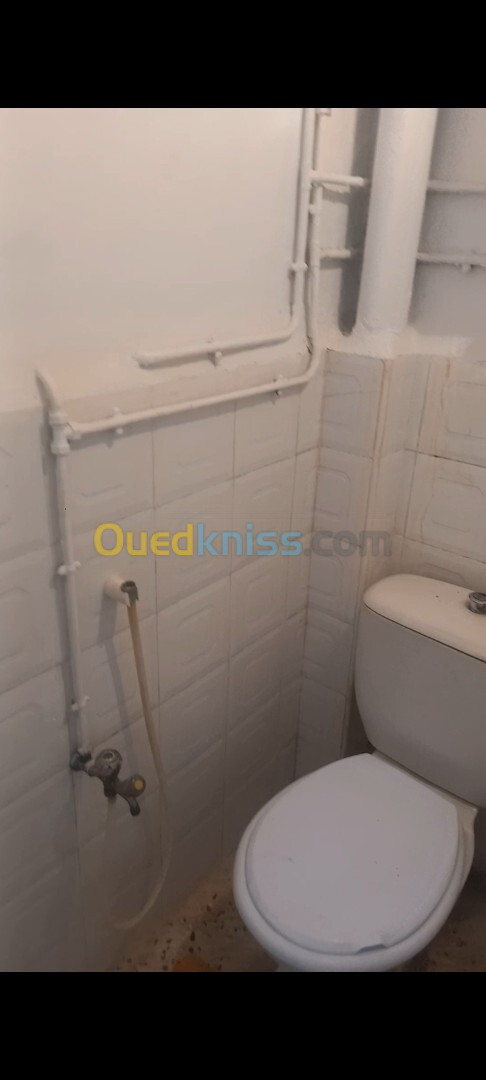 Location Appartement F3 Alger Reghaia