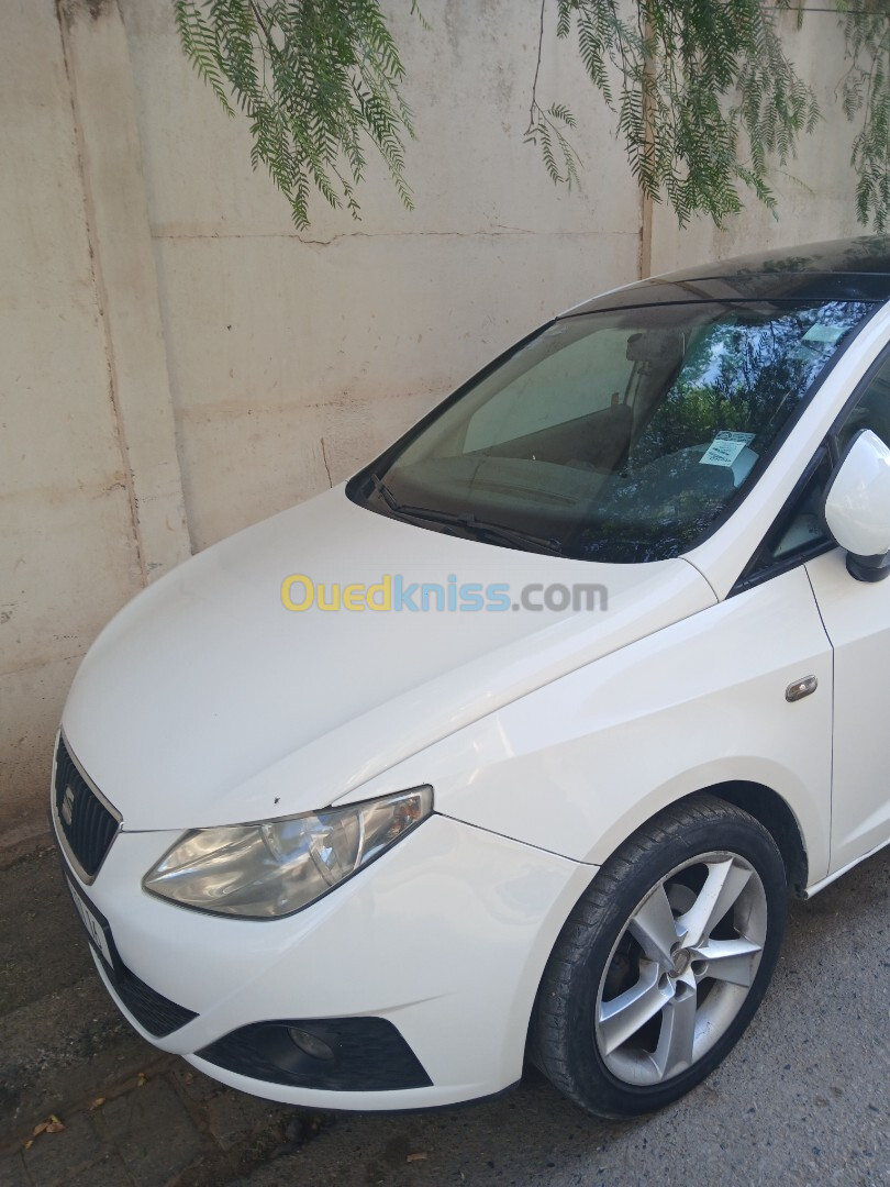 Seat Ibiza 2011 