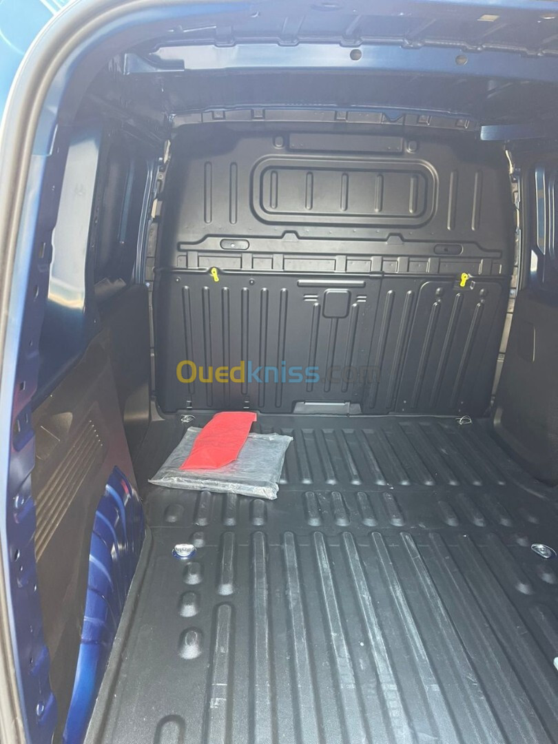 Fiat doblo 2024 professionel