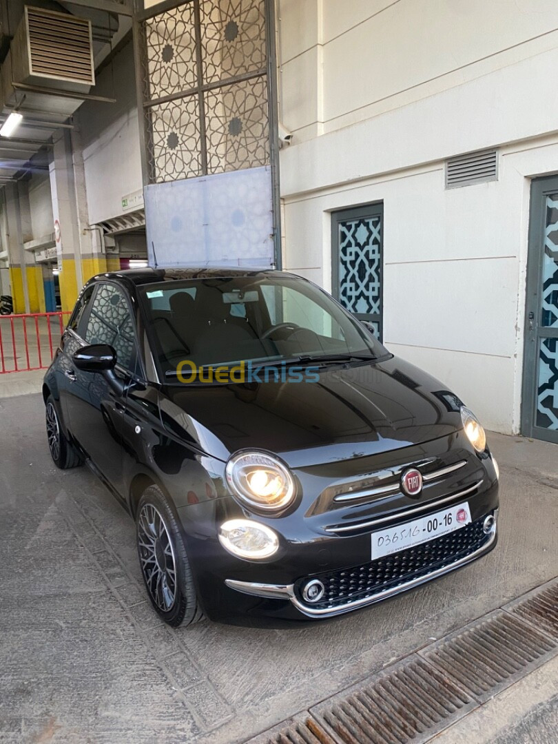 Fiat 500 2023 500