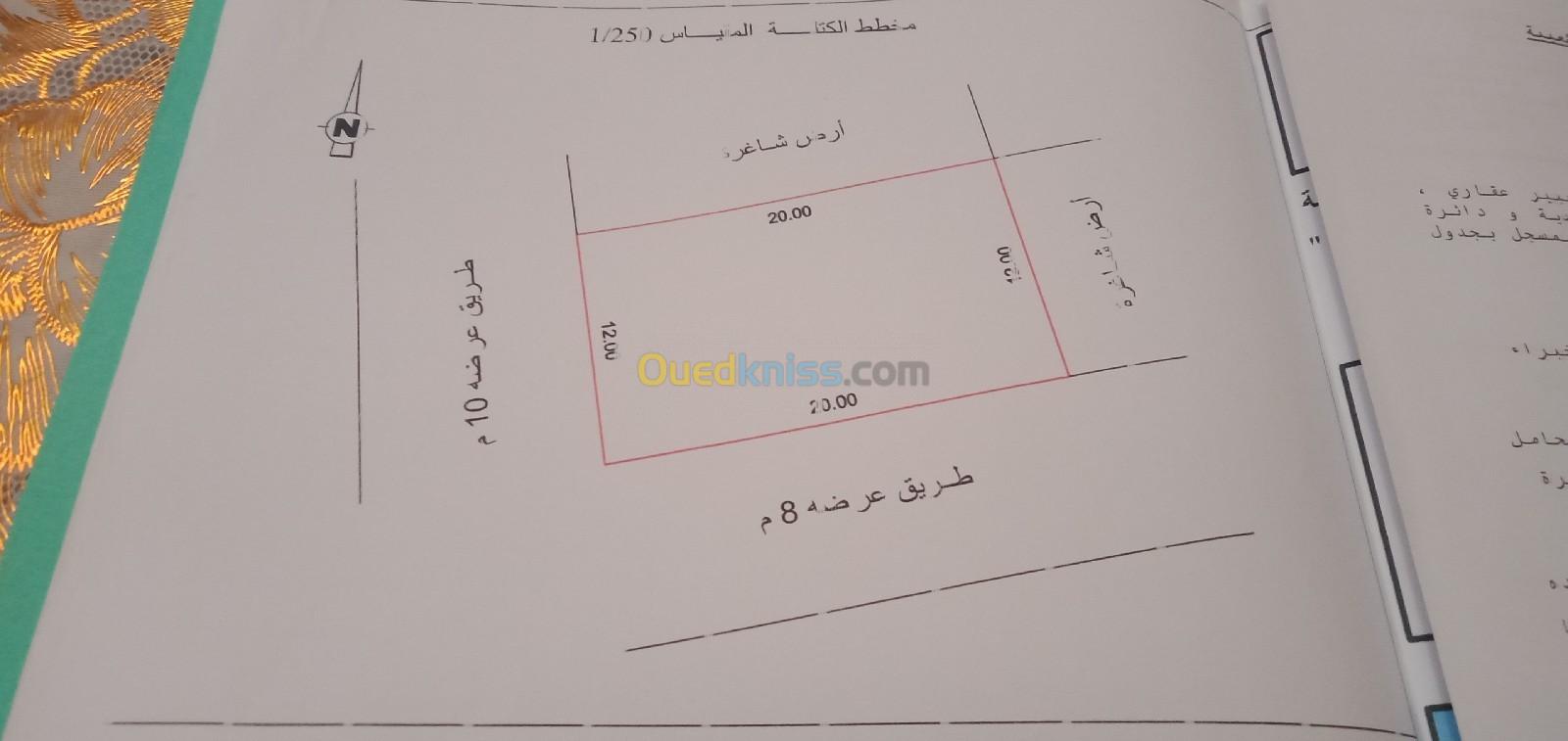 Vente Terrain Aïn Témouchent Oulhaca el gheraba