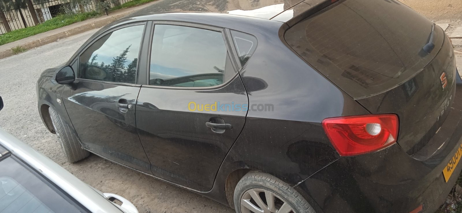 Seat Ibiza 2009 Ibiza