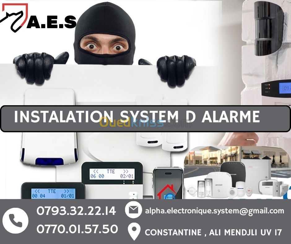 camera de surveillance / systeme d'alarme / interphone visiophone / pointeuse controle d'acces 