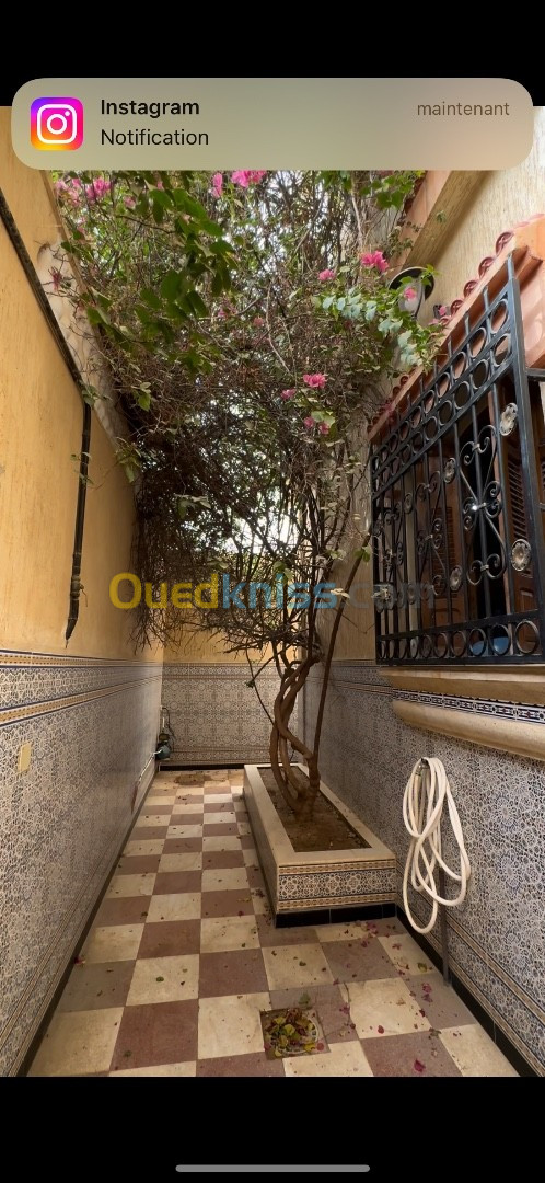 Vente Villa El Oued El oued