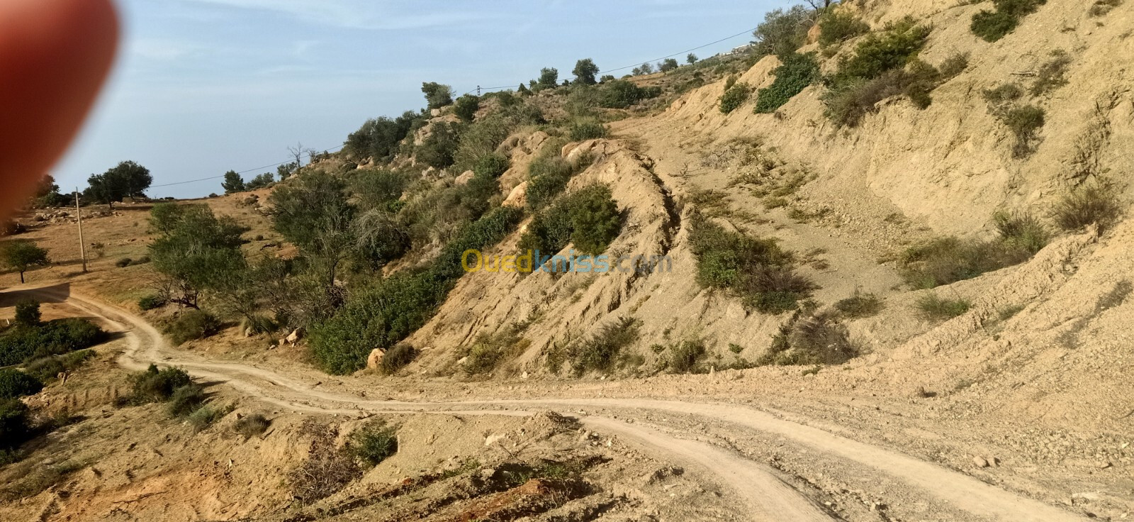 Vente Terrain Tlemcen Dar yaghmouracene