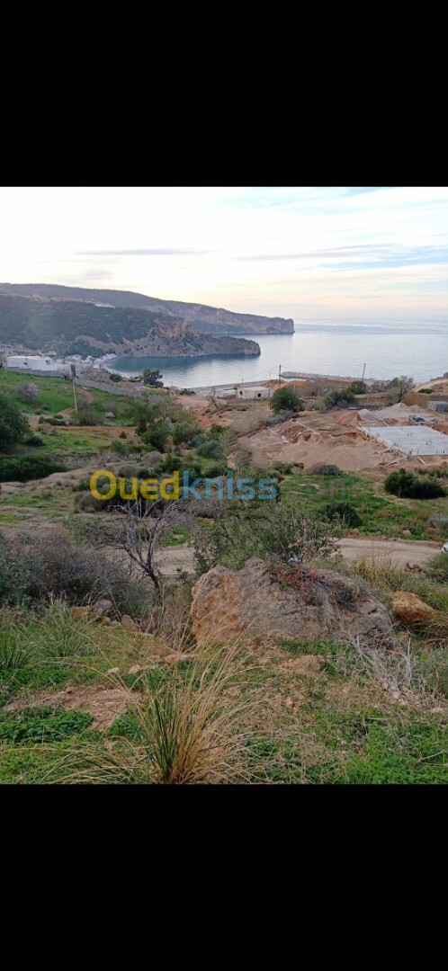 Vente Terrain Tlemcen Dar yaghmouracene