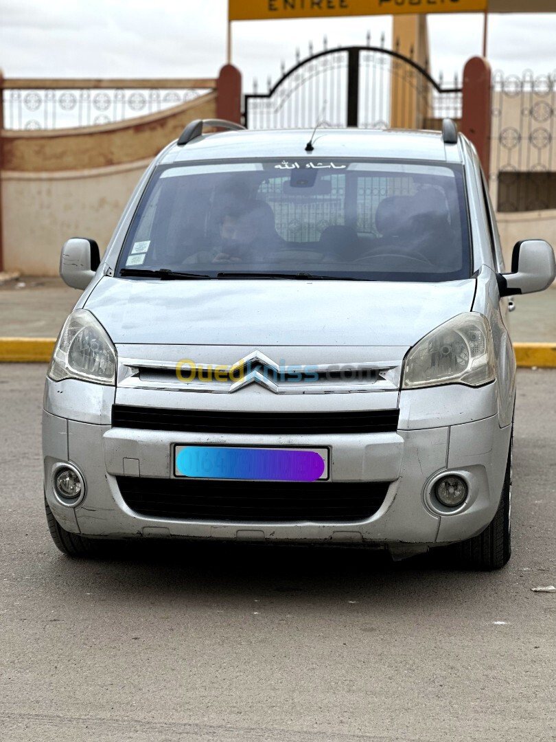 Citroen Berlingo 2010 