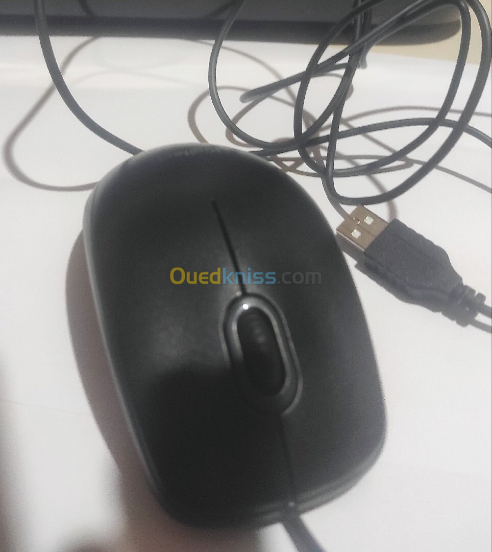 Souris Logitech b100 (caba Paris)