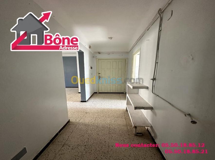 Location Appartement F3 Annaba Annaba