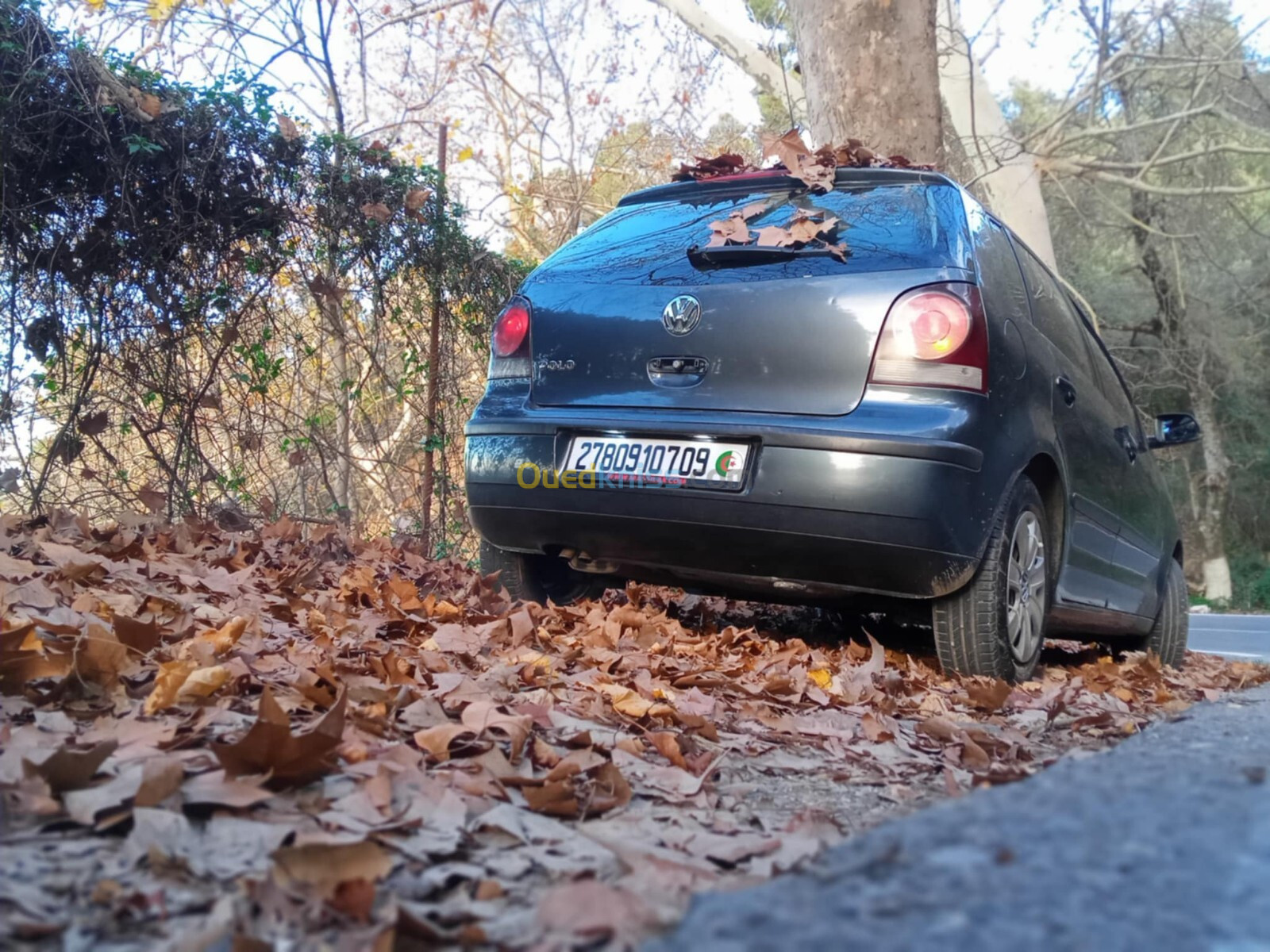 Volkswagen Polo 2007 Polo