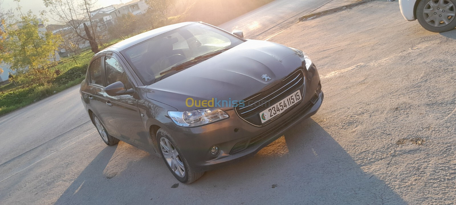 Peugeot 301 2015 Active